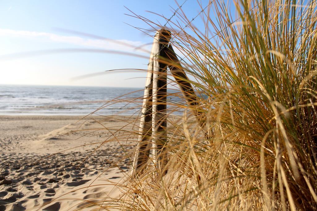 Hofje Van Maas Zandvoort Eksteriør billede