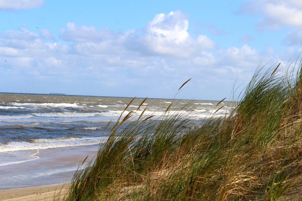 Hofje Van Maas Zandvoort Eksteriør billede